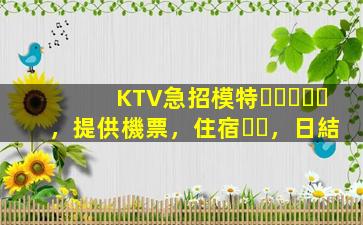 KTV急招模特，提供機票，住宿，日結